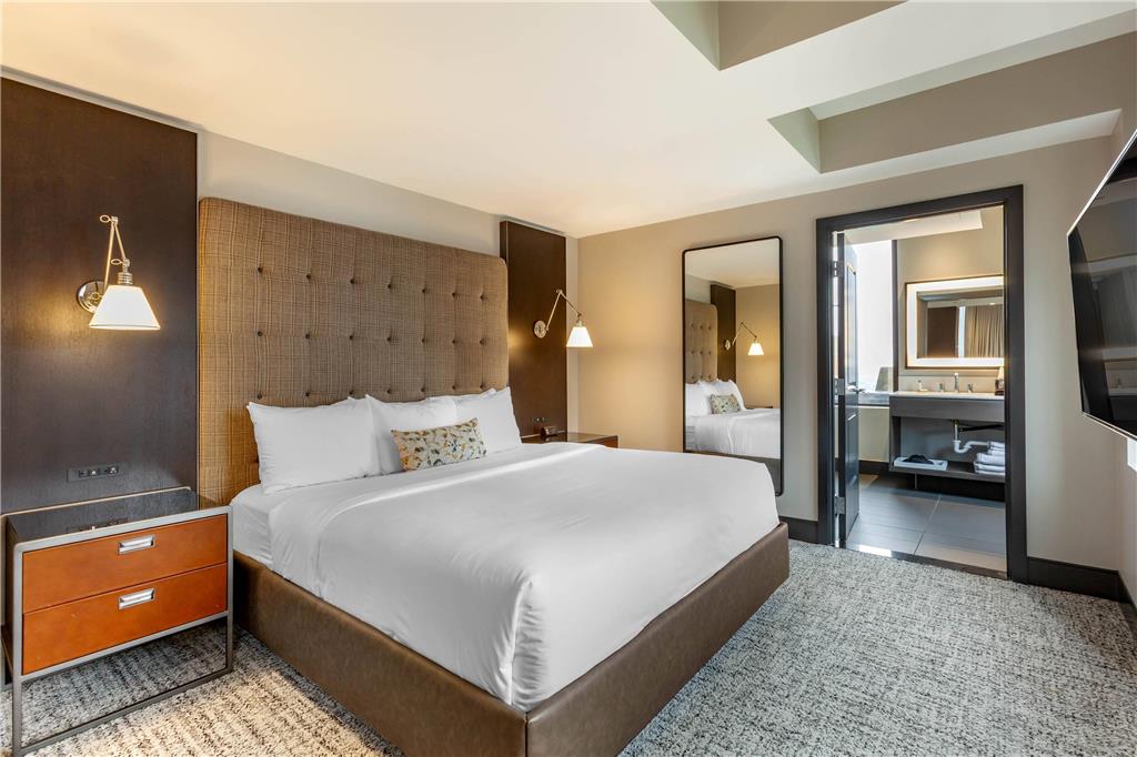 Cambria Hotel Houston Downtown Convention Center - photo 38