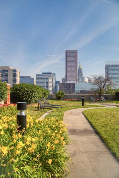 The Royal Sonesta Harbor Court Baltimore - photo 23