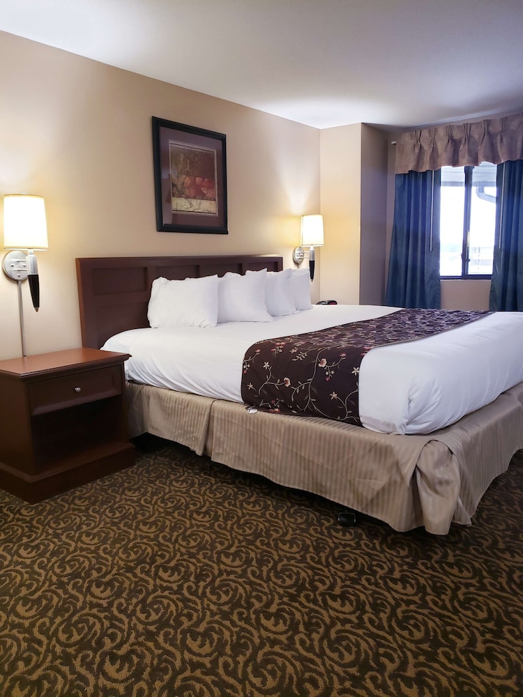 Quality Inn & Suites Black River Falls I 94 - photo 15