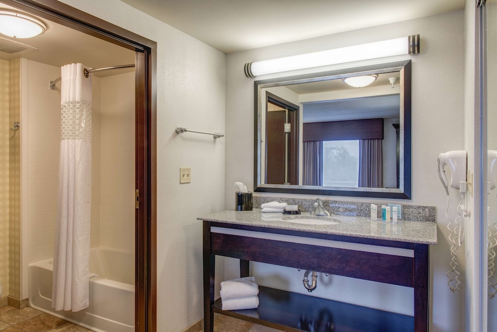 Hampton Inn & Suites Detroit Airport Romulus - photo 21