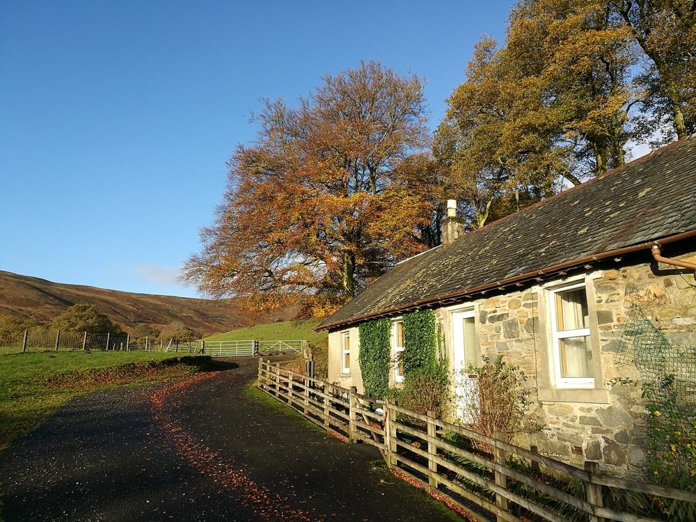 Shemore On Loch Lomond — Alexandria