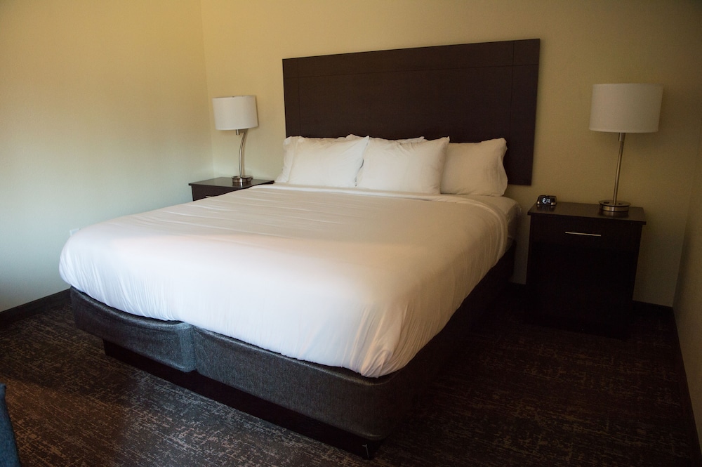 Cobblestone Inn & Suites Forest City - photo 17