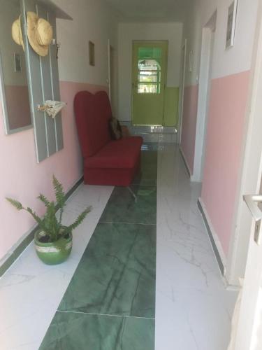 Alanis in Vela Luka, Croatia