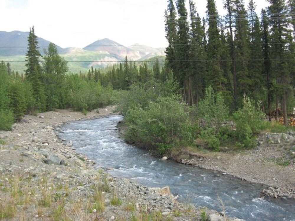 Denali Perch Resort - photo 24