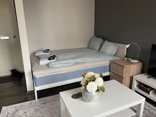 Kaarlelankatu Studio in Kokkola, Finland