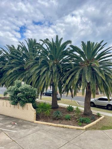 The Palms West Beach — West Beach — photo 4