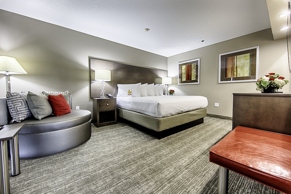 Hotel Capstone - photo 13