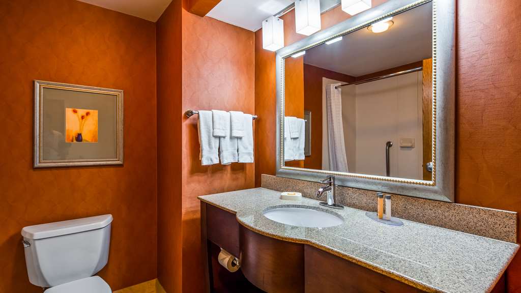 Best Western Plus Wichita West Airport Inn - photo 18