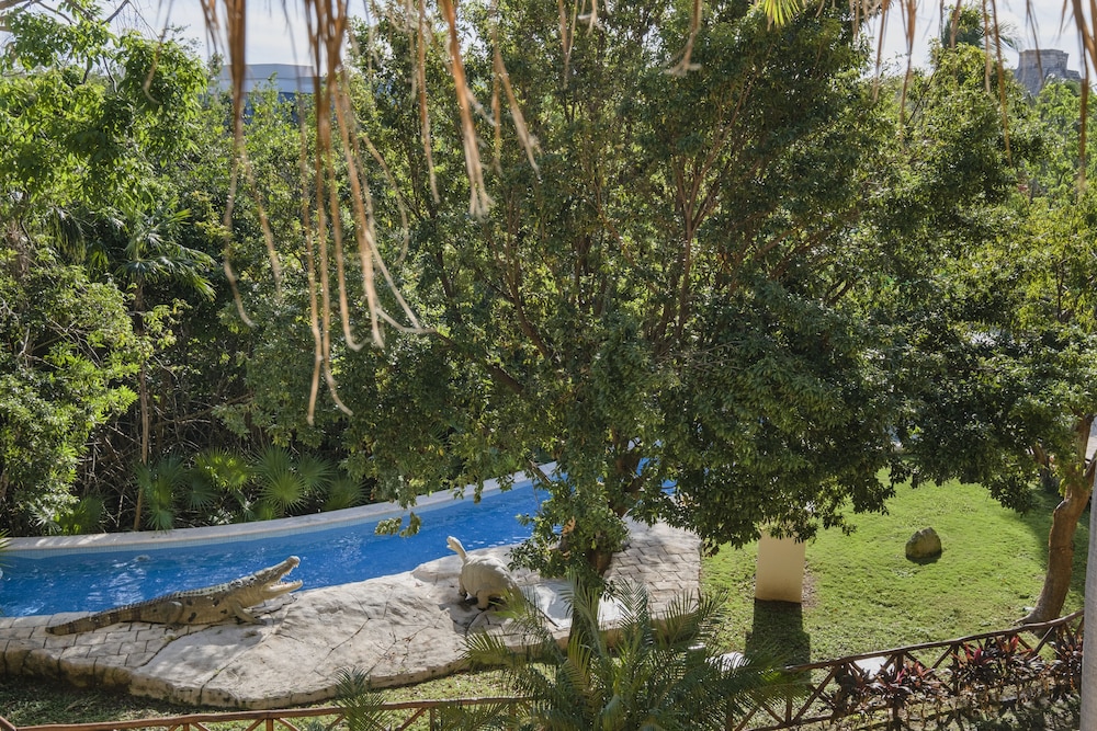 Garden view