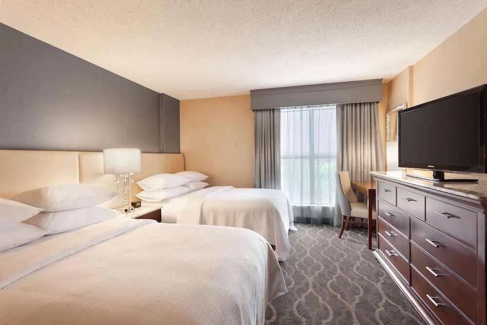Embassy Suites by Hilton Atlanta Airport - photo 10