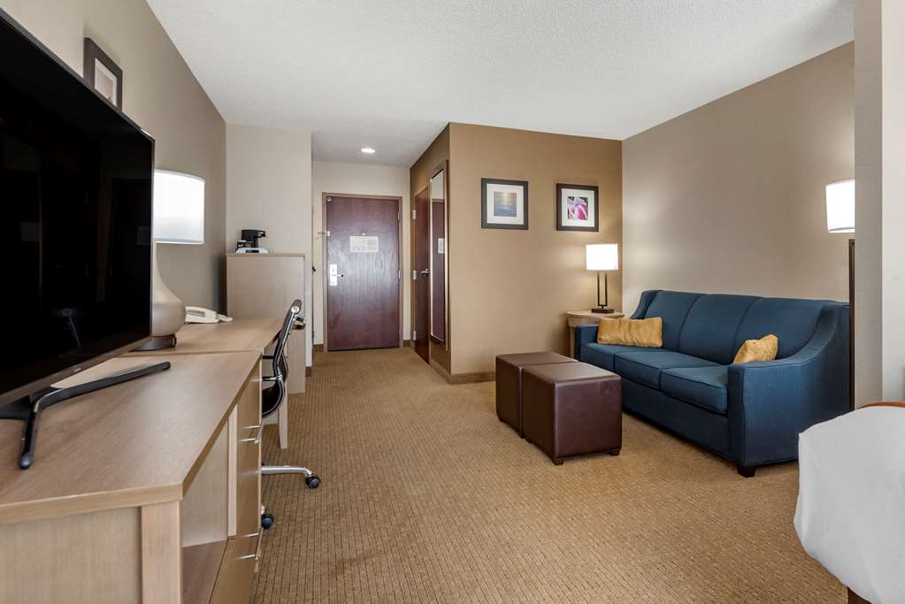 Comfort Inn & Suites Farmington Victor - photo 19