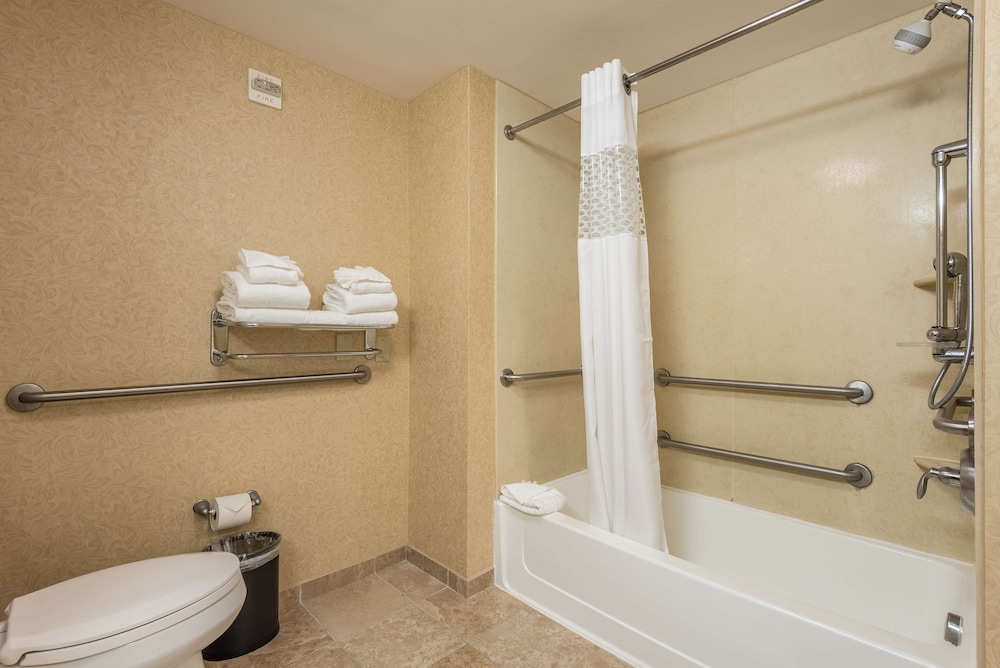 Hampton Inn & Suites Orlando South Lake Buena Vista - photo 36