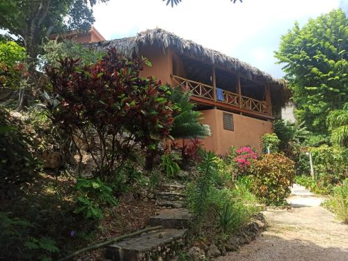La Casa Del Arbol — 4-Star Luxury Hotel in Samana, Dominican Republic