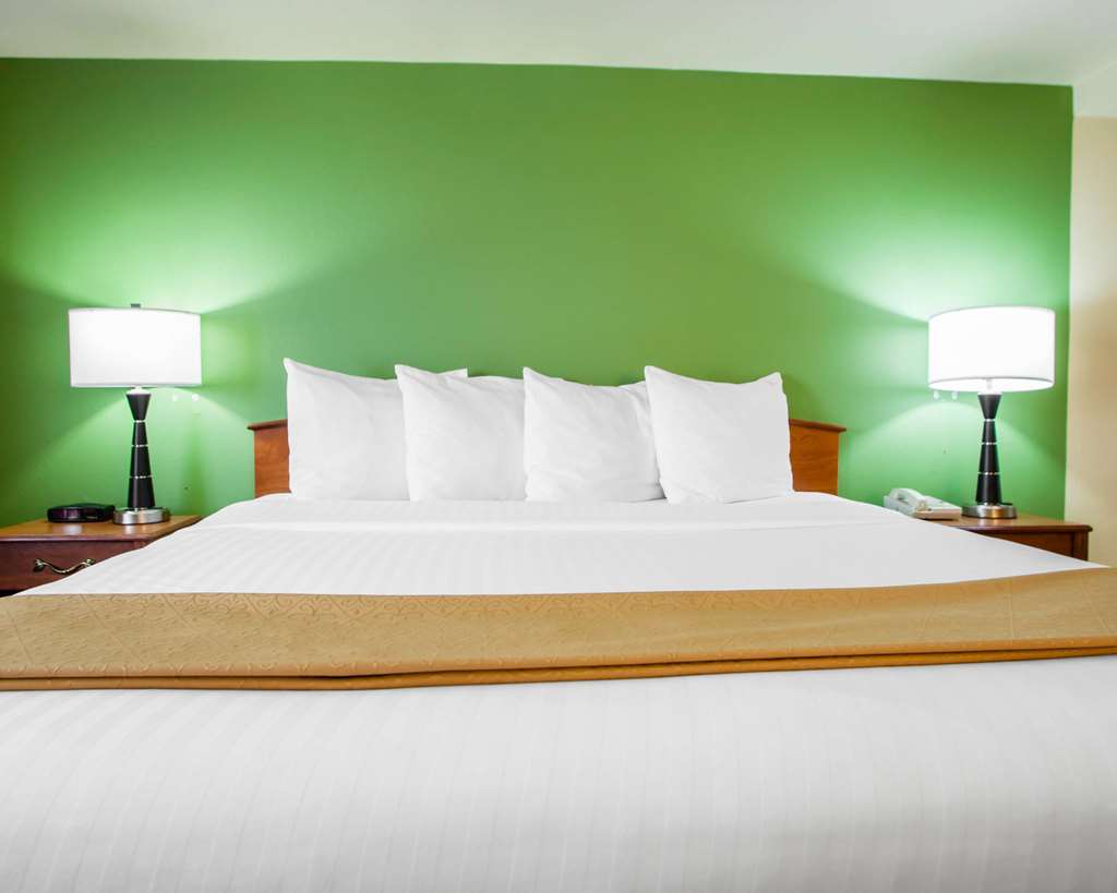Quality Inn Bolingbrook I 55 - photo 13
