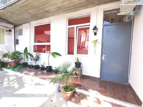Matisse apartment in old Tbilisi
