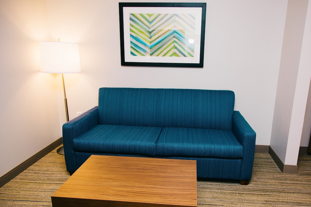 Holiday Inn Express & Suites Tampa USF Busch Gardens an IHG Hotel - photo 3