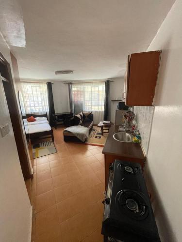 Kiluu Homes TRM Drive Roysambu Thika Road