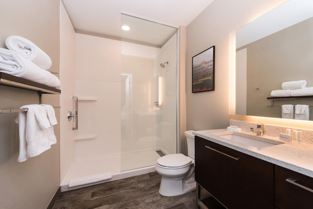 TownePlace Suites San Luis Obispo - photo 28