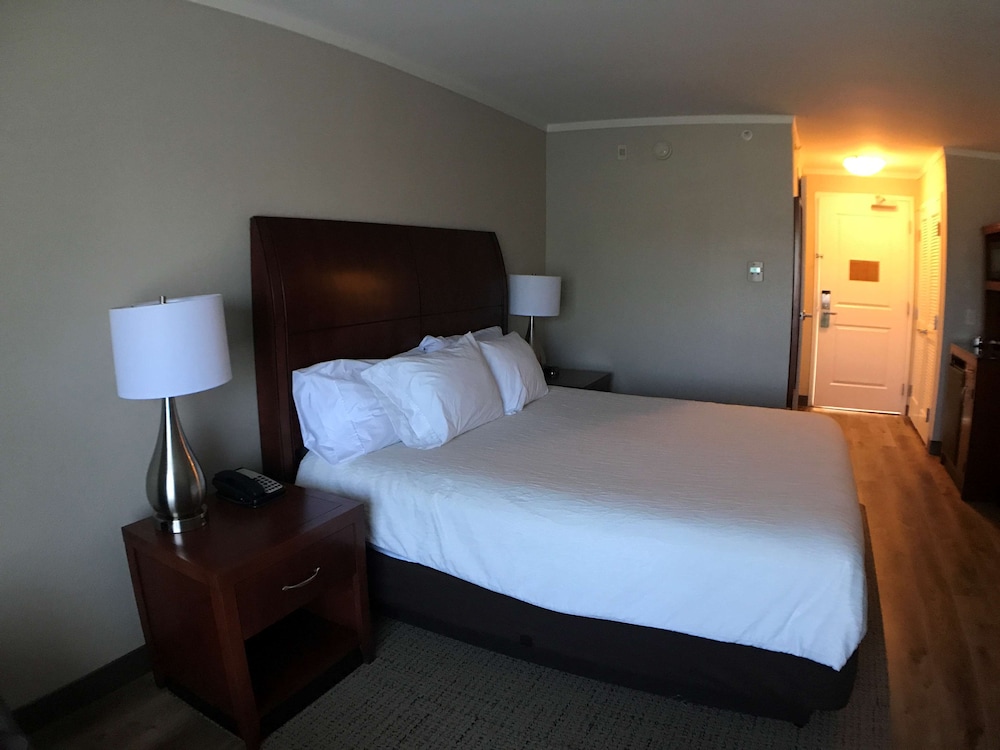 Hilton Garden Inn Bowling Green - photo 24