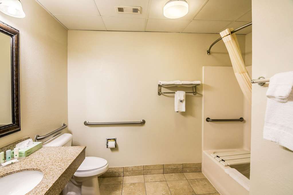 Quality Inn Alexander City - photo 26