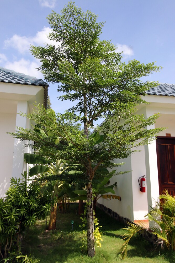 White Lotus Resort - last minute hotel in Phu Quoc