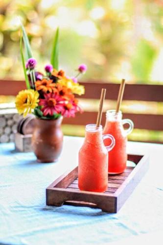 Cute Eco Cottage Near 7 Waterfalls — 4-Star Luxury Hotel in Singaraja, Indonesia