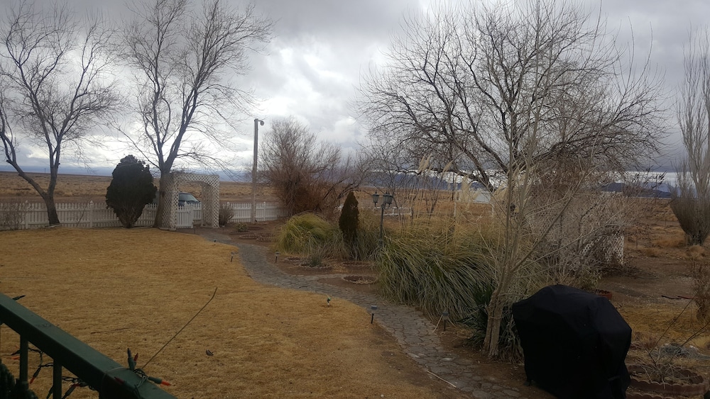 Shady Lady Bed & Breakfast - photo 35