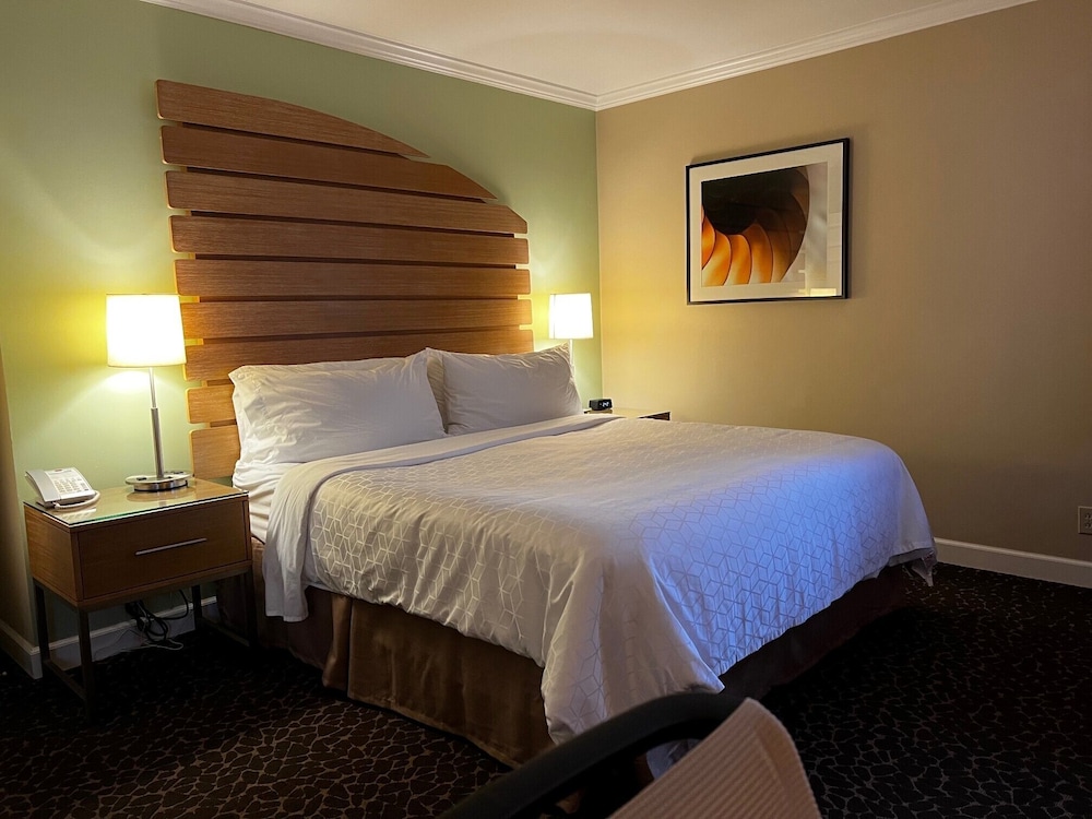 Holiday Inn Express & Suites La Jolla Windansea Beach by IHG - photo 16
