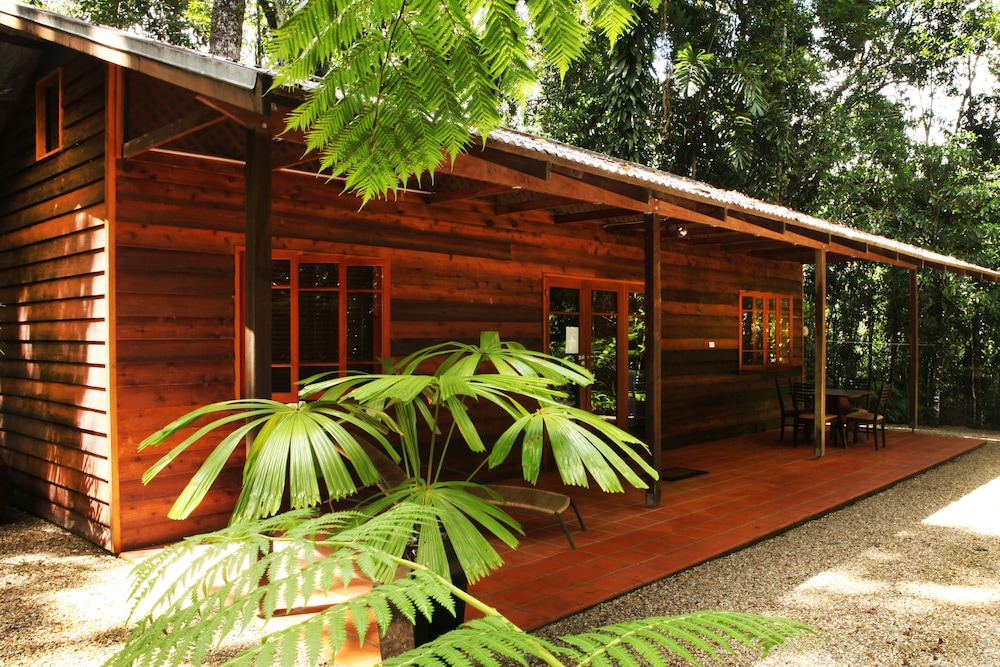Daintree Cascades — Port Douglas