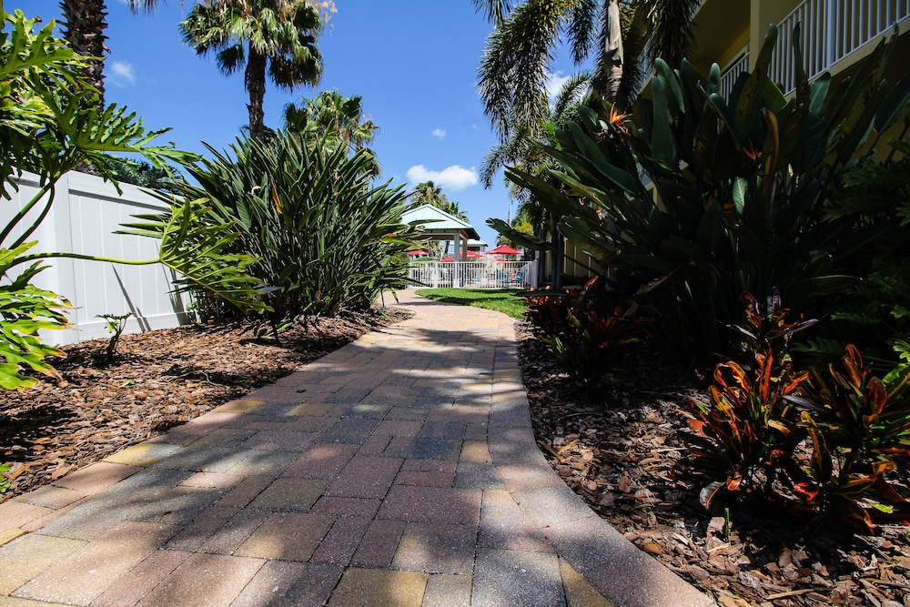 Treasure Island Hotel and Marina - photo 45