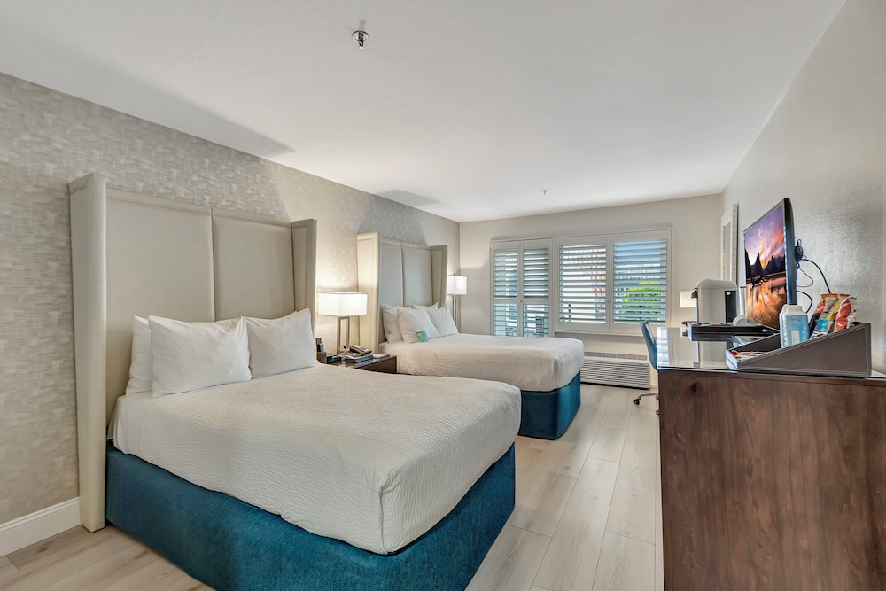 Ocean View Hotel - photo 19