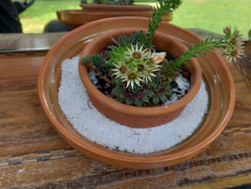 Ferienhaus Hölzl in Unknown City, Austria