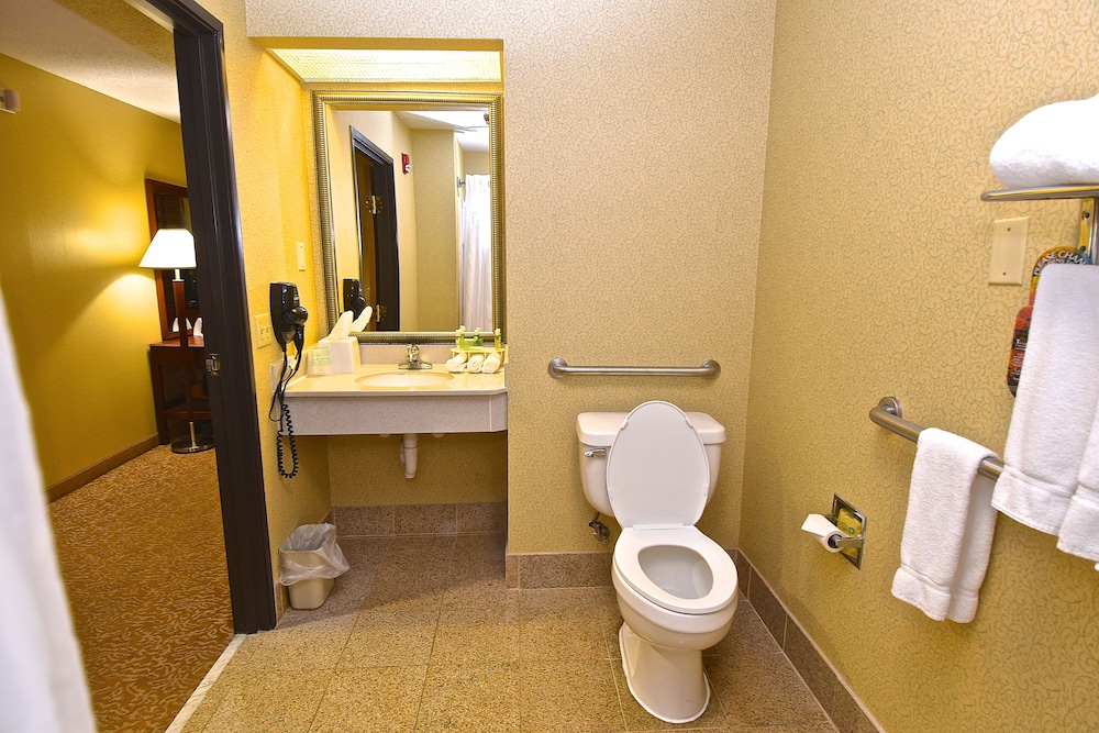 Holiday Inn Express & Suites St. Louis West Fenton by IHG - photo 38