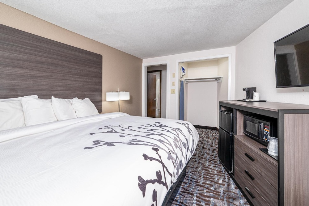 Bear Creek Inn - photo 10