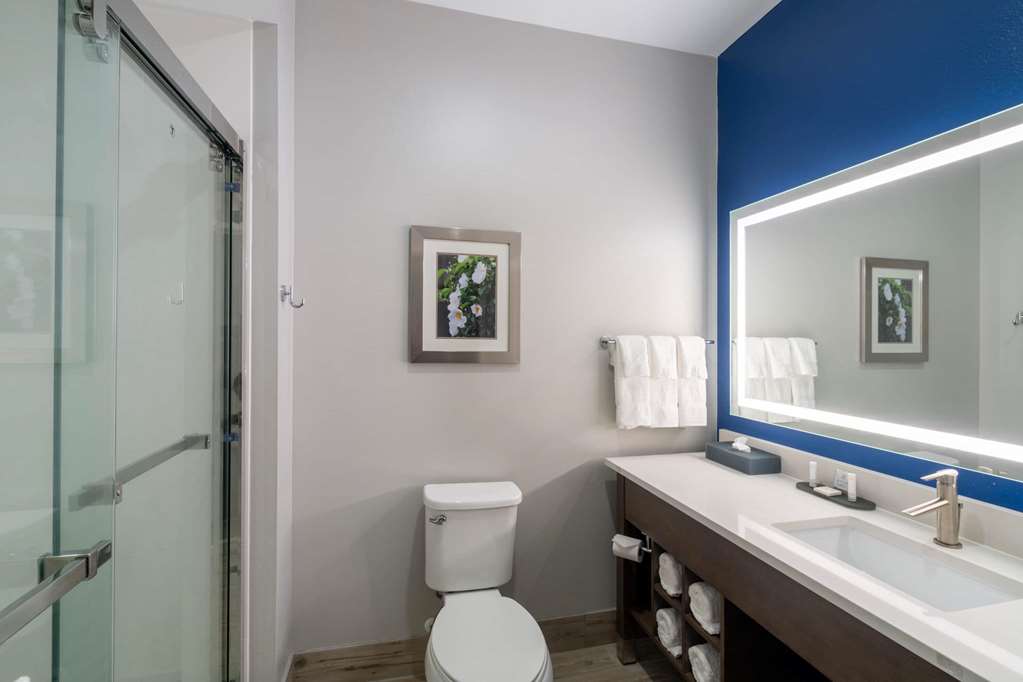 La Quinta Inn & Suites by Wyndham Tifton - photo 28