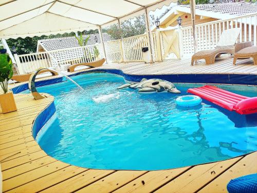 Vanilla Grey in Tiberias, Israel