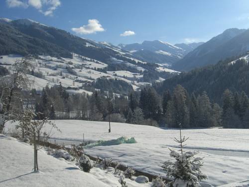 Haus Schmetterling — 4-Star Luxury Hotel in Alpbach, Austria