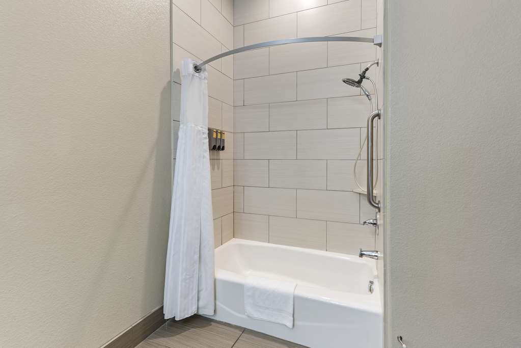 Best Western Plus Pflugerville - photo 25