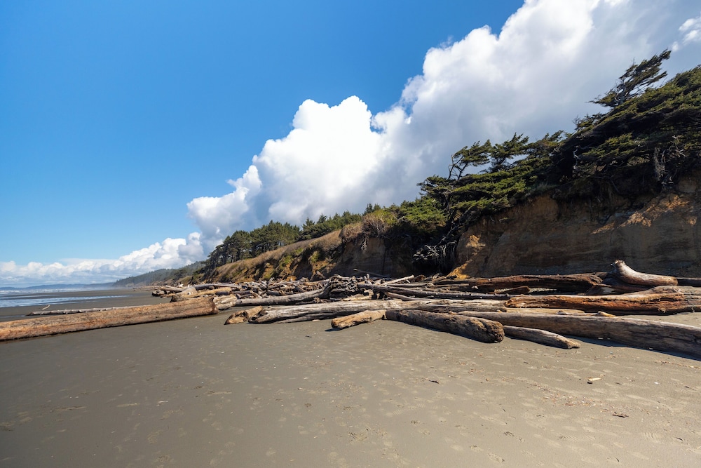 Kalaloch Lodge in Olympic National Park - photo 45
