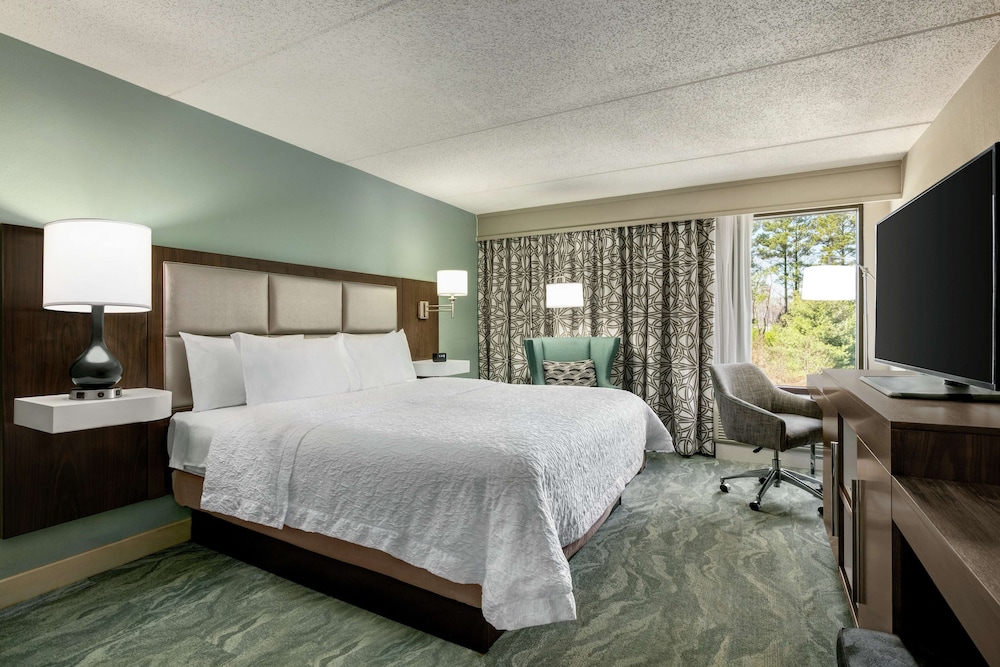 Hampton Inn by Hilton Richmond North Ashland - photo 9