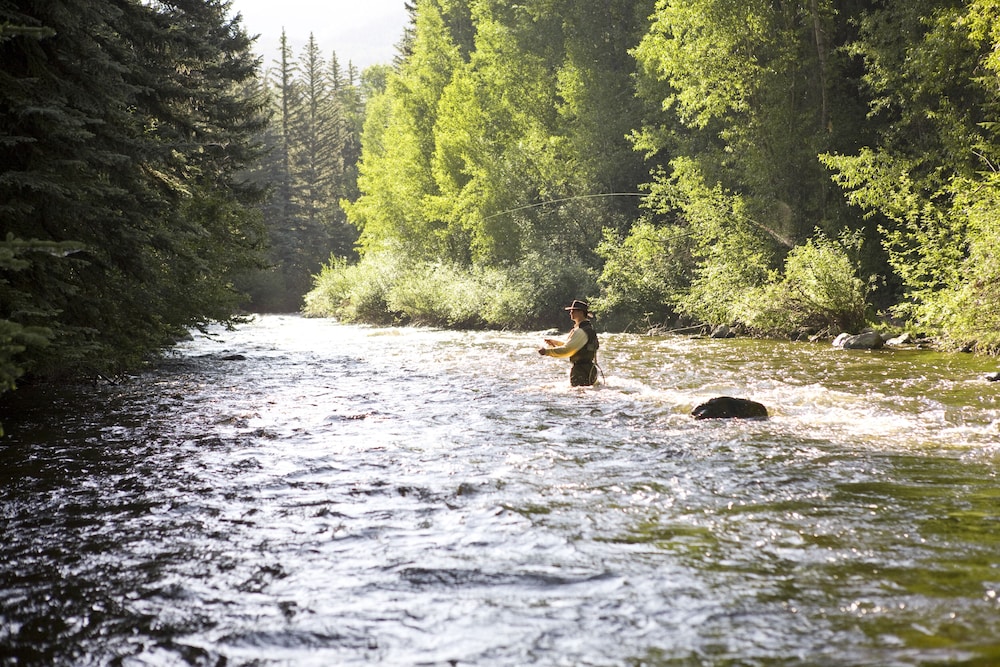 Aspen Meadows Resort - photo 34