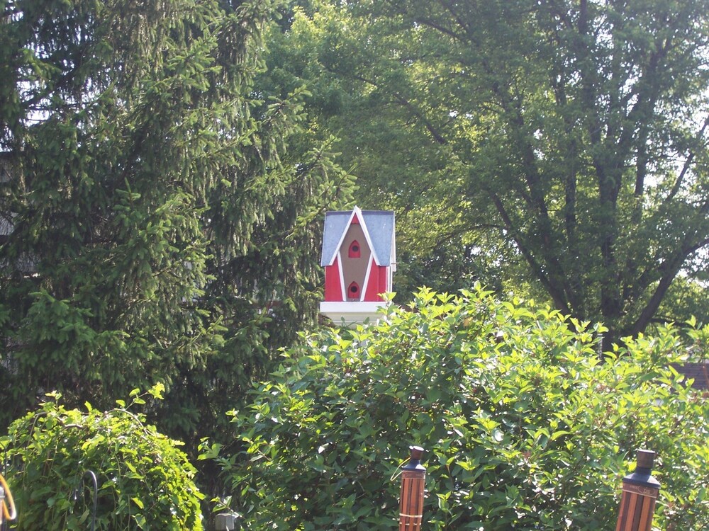 Clarence Inn - photo 43
