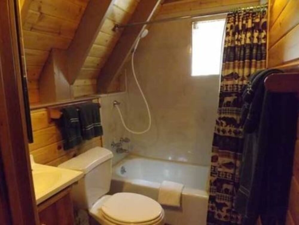 Arizona Mountain Inn and Cabins - photo 298