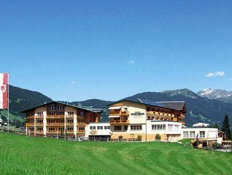 Ferienhotel Fernblick — hotel in Bartholomaeberg