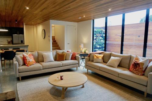 Stella On Stevens — Queenscliff
