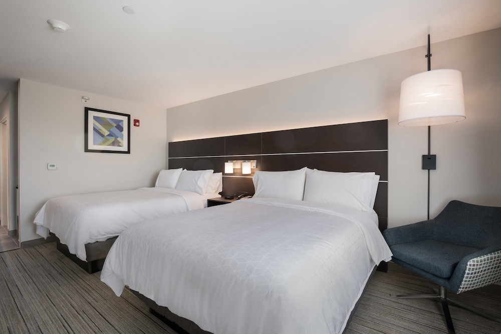 Holiday Inn Express & Suites Chicago Hoffman Estates an IHG Hotel - photo 3