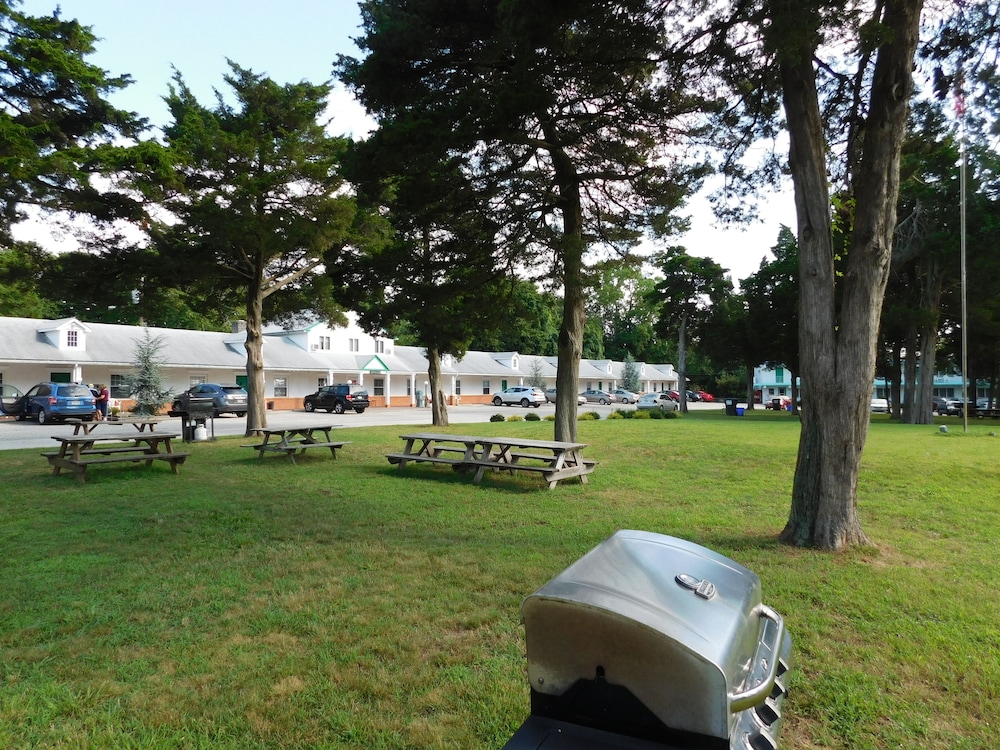 Hyland Motor Inn - photo 33