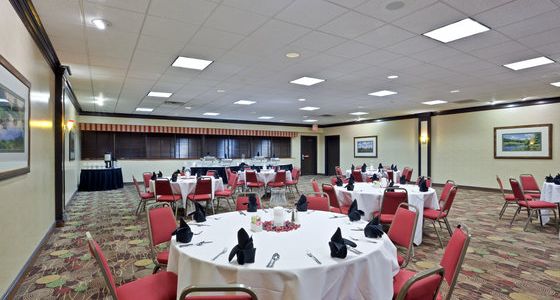 Holiday Inn Olathe Medical Center - photo 16