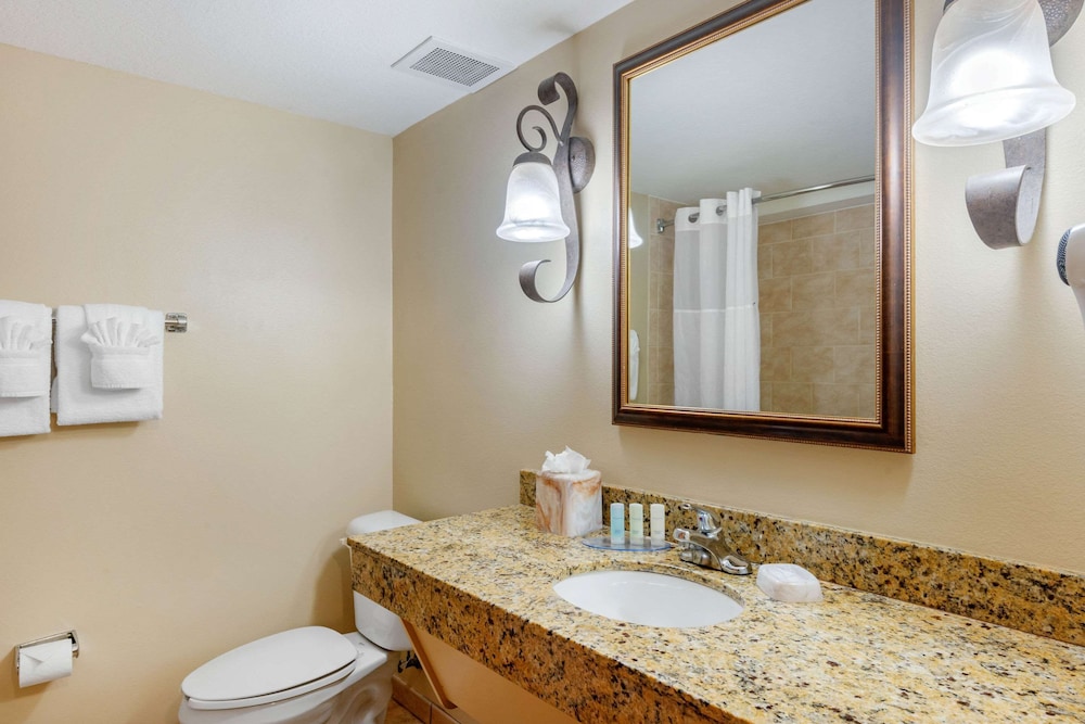 Clarion Inn Ormond Beach at Destination Daytona - photo 39