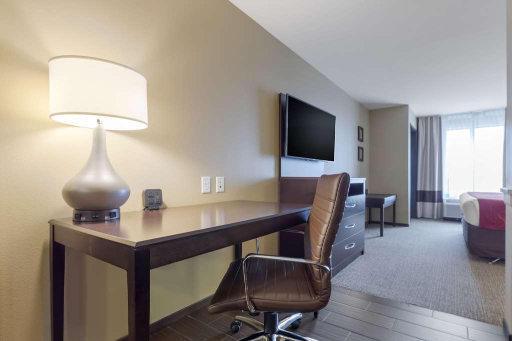 Comfort Suites and Conference Center - photo 10